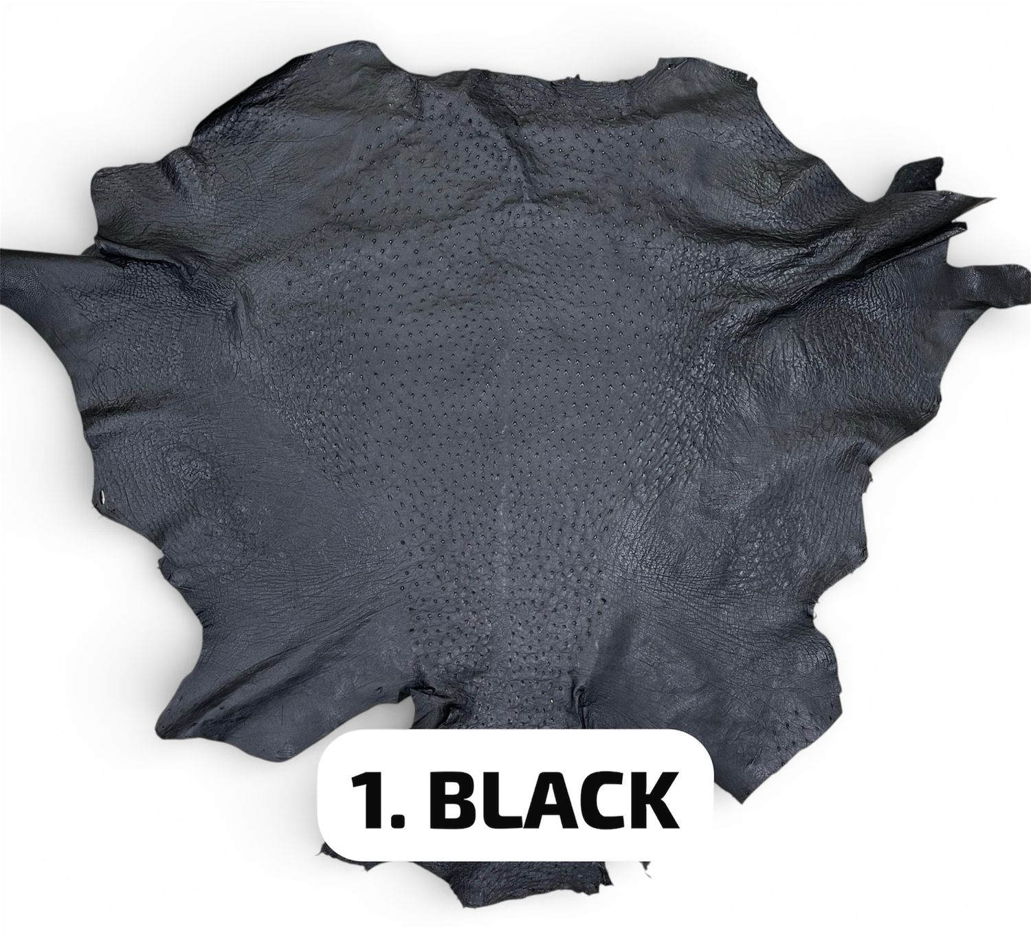 Real Ostrich Colors - الوان جلد النعام