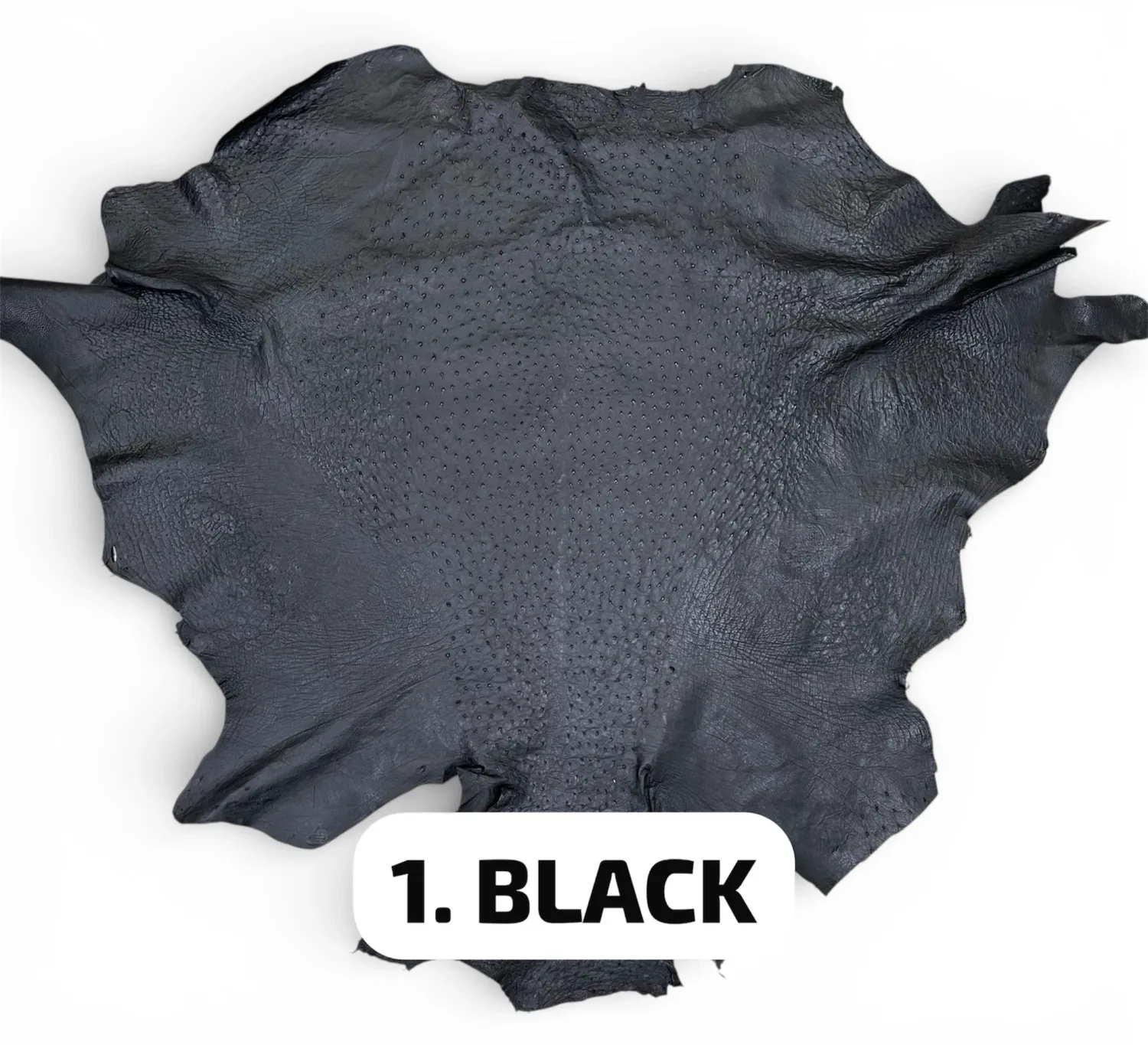 Real Ostrich Colors - الوان جلد النعام