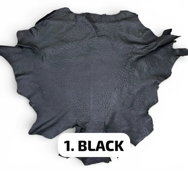 Real Ostrich Colors - الوان جلد النعام