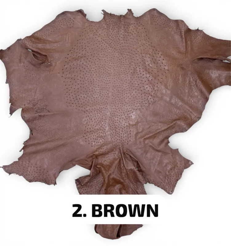 Real Ostrich Colors - الوان جلد النعام