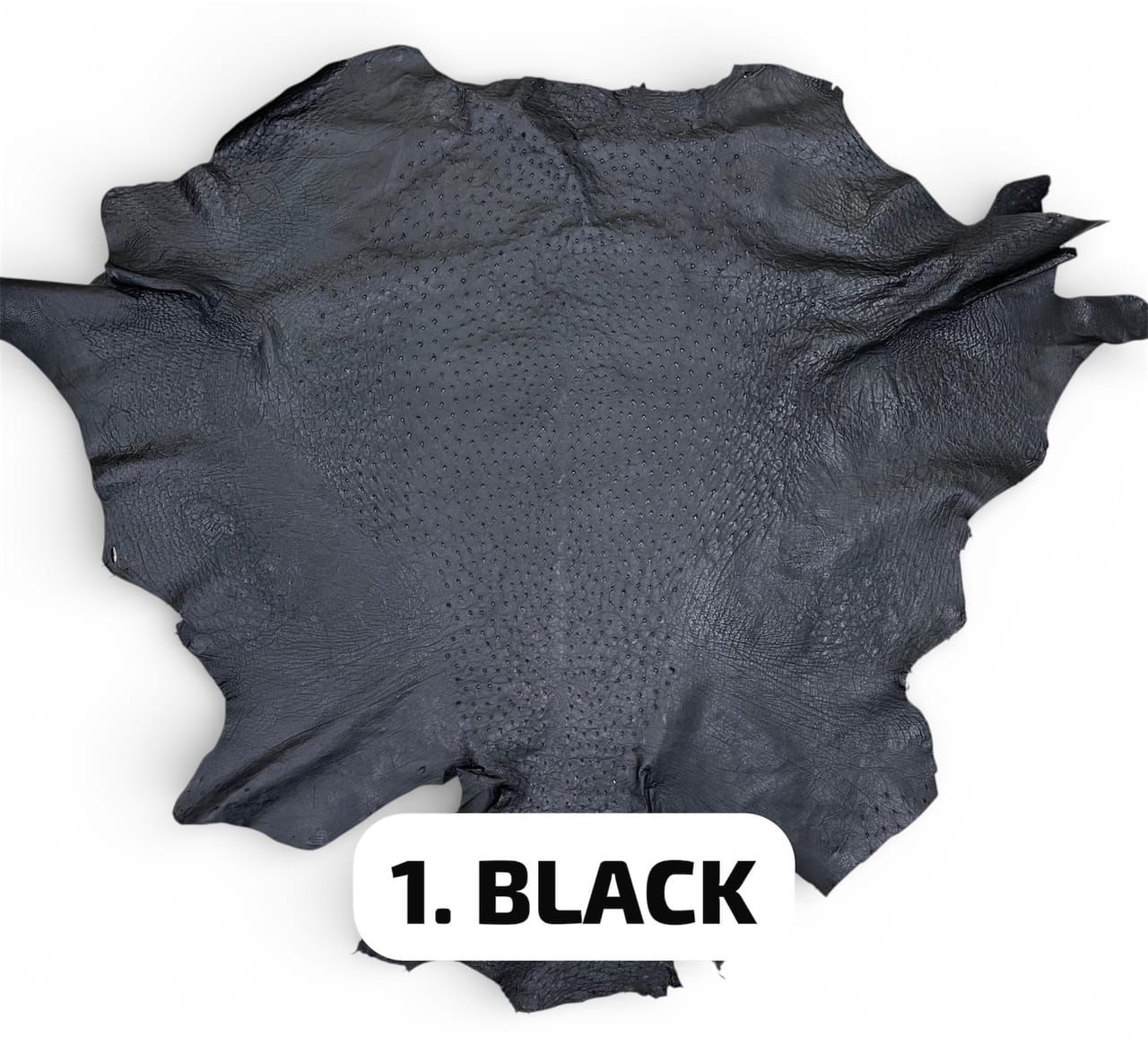 REAL OSTRICH LEATHER 21 COLORS