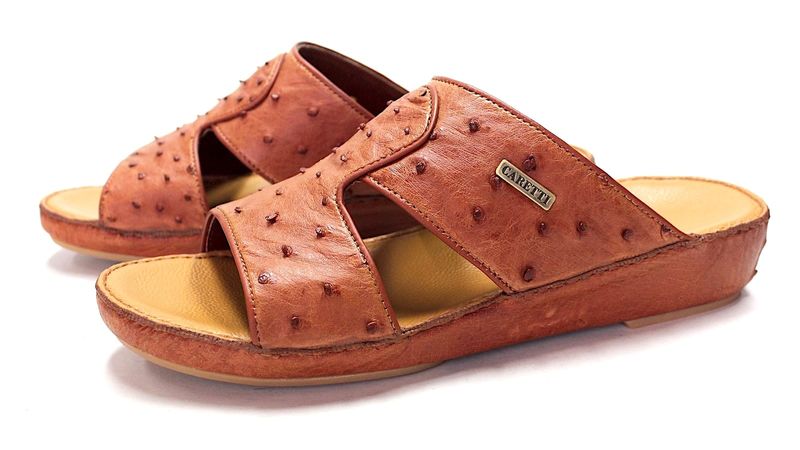 OSTRICH 2995