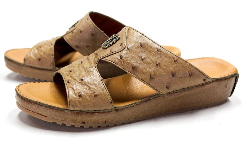 OSTRICH 3067