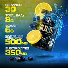 Hosstile Silo 9 EAA+Hydration/Blueberry Lemonade