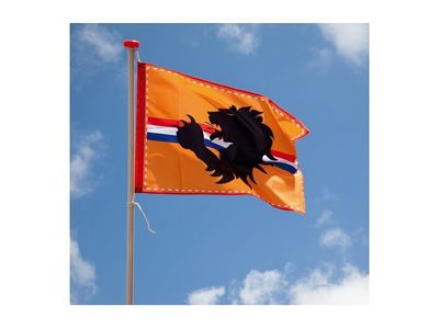 Oranje Gevelvlag 90 x 60 cm - Koningsdag - EK/WK Voetbal 1056476