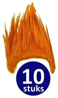 Oranje Pruik | 10 stuks Oranje Feestpruik Punk | Feestartikelen Oranje Hoofddeksel | Feestkleding EK/WK Voetbal 1081462