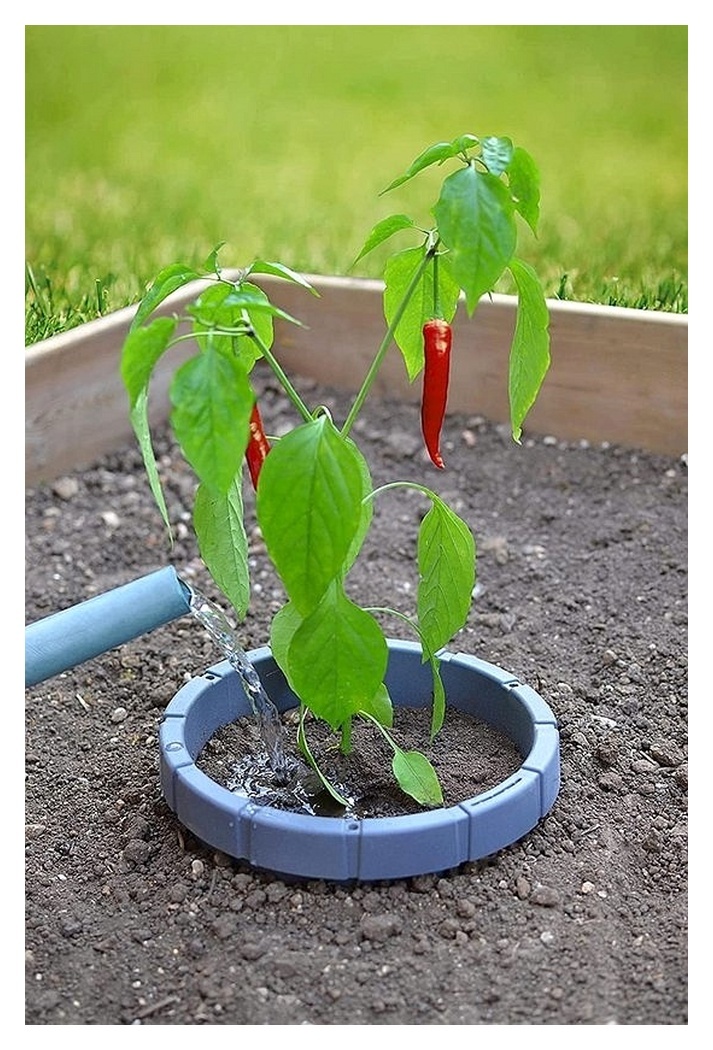 Planten ring - Tegen uitdroging - Ø 21 cm - Water sparend
