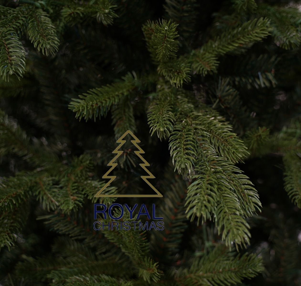 Royal Christmas Kunstkerstboom Spitsbergen Premium 150cm Royal Christmas Kunstkerstboom Spitsbergen Premium 150cm