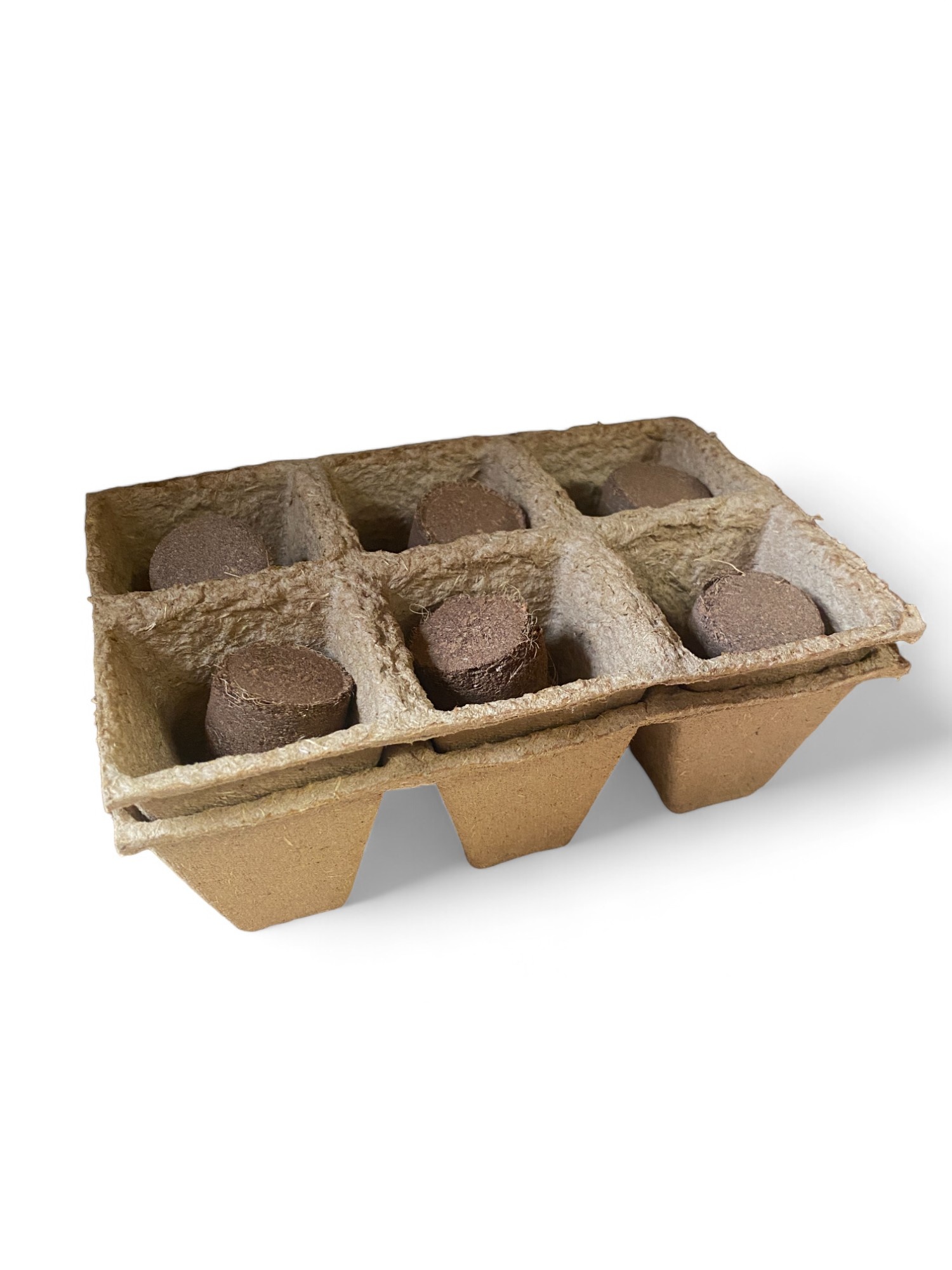 Mini-kas - Grow Your Own - Kweek je eigen Tomaten en Basilicum Mini-kas - Grow Your Own - Kweek je eigen Tomaten en Basilicum