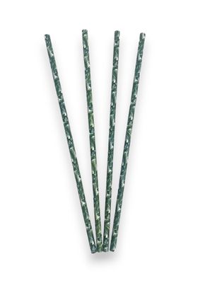 Party Stars Papieren Rietjes Jungle per 12 1090516