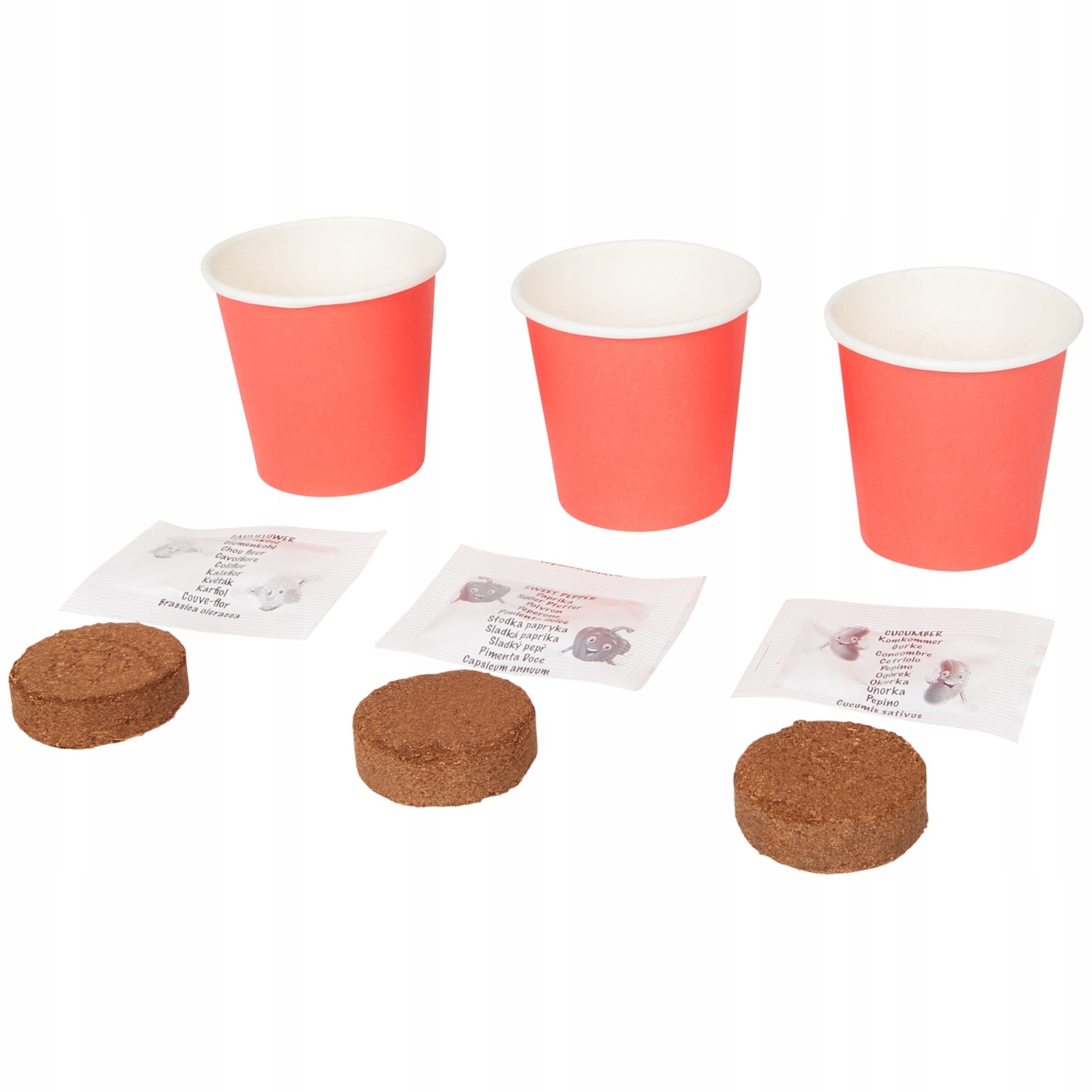 Minikweekset Groente 3 potjes - 19 cm x 7 cm Minikweekset Groente 3 potjes - 19 cm x 7 cm