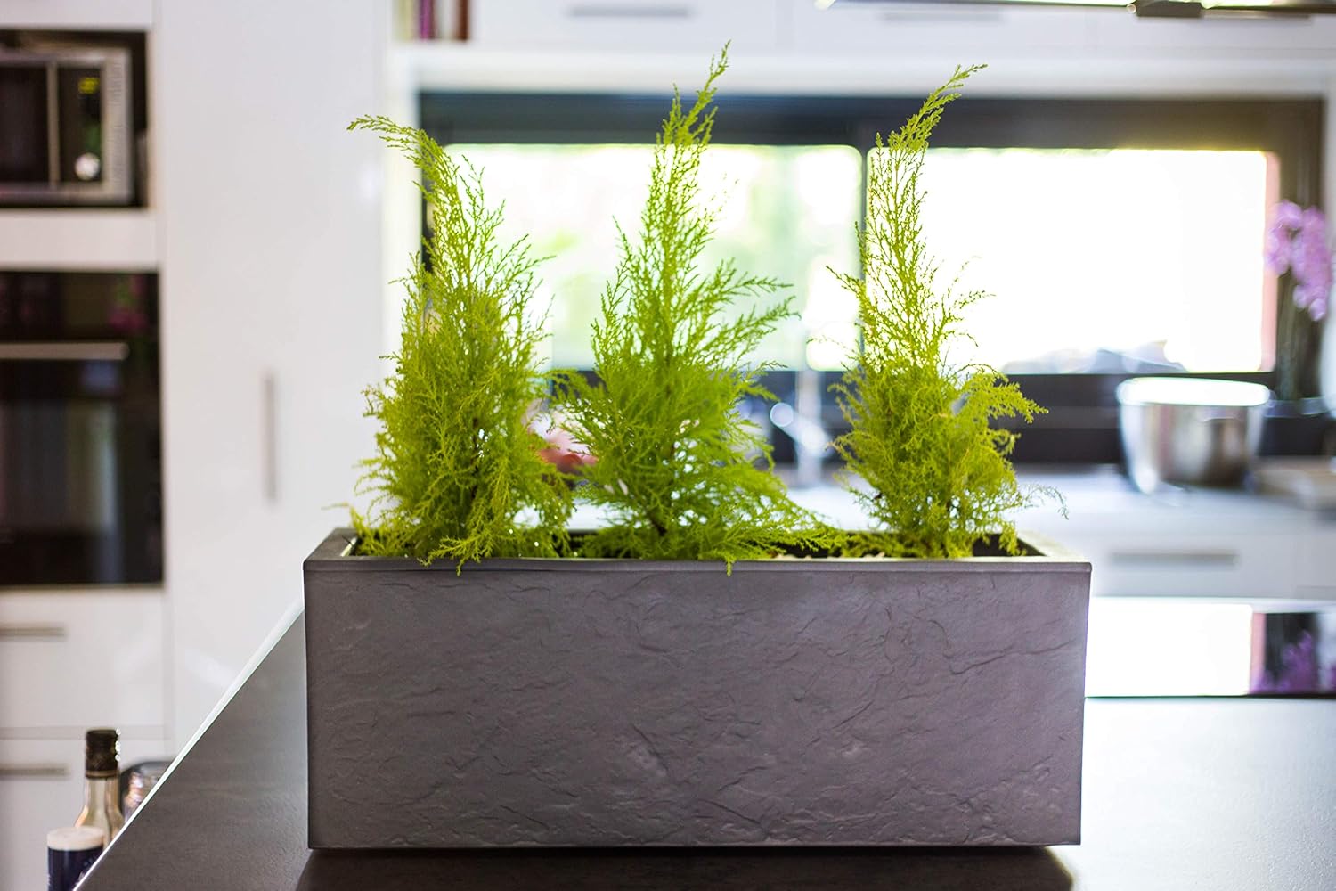 EDA Plantenbak Balcon Volcania Stone effect Antraciet 25 liter - 59 x 19,5 x 22,8 cm EDA Plantenbak Balcon Volcania Stone effect Antraciet 25 liter - 59 x 19,5 x 22,8 cm