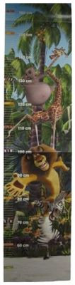 Madagascar Groeimeter 160 cm 1039604