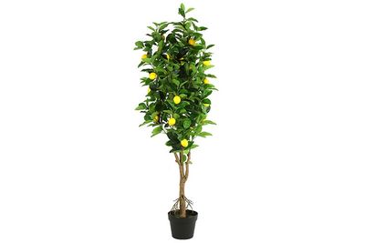 Kunstplant Citrus Lemon - Geel - Ø66 x 130 cm 1093003