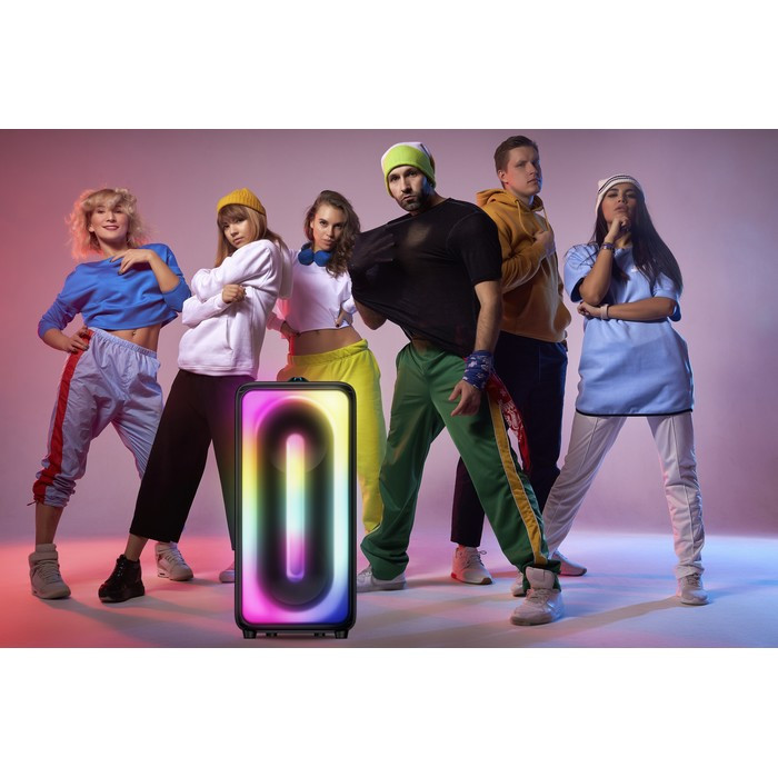 Pickering Draagbare Speaker Bluetooth 5.0 Panther P300 - Max 300 Watt