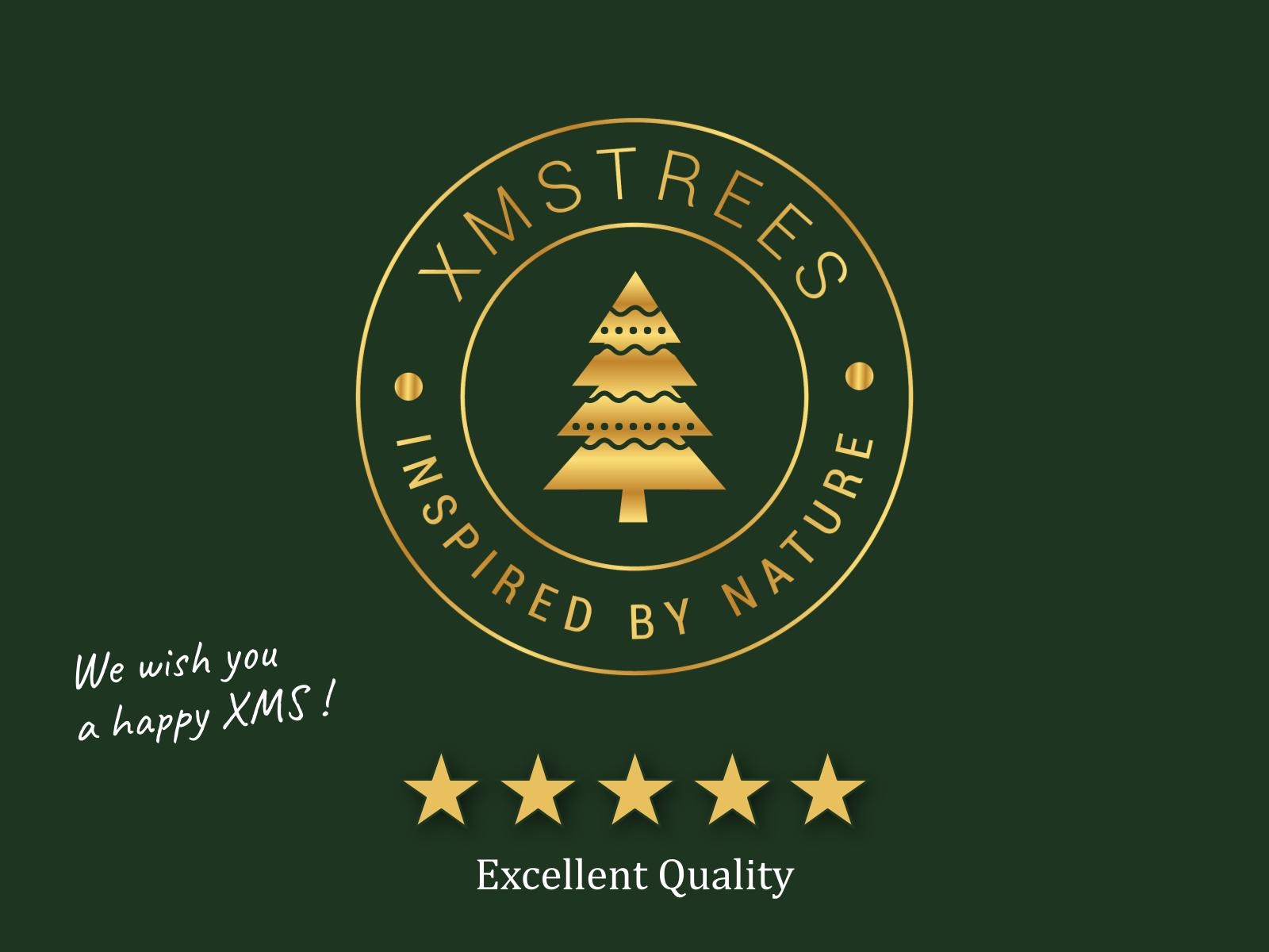 XMS-Trees Kunstkerstboom Fairbanks H180 x Ø94 cm - inclusief LED - met besneeuwde takken - Brandvertragend XMS-Trees Kunstkerstboom Fairbanks H180 x Ø94 cm - inclusief LED - met besneeuwde takken - Brandvertragend