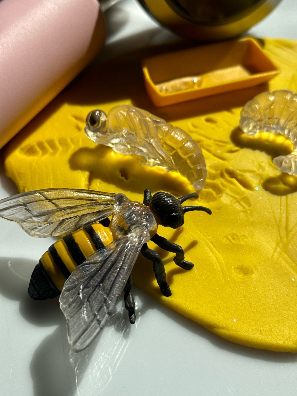 Κύκλοι Ζωής Μέλισσας Safari Ltd