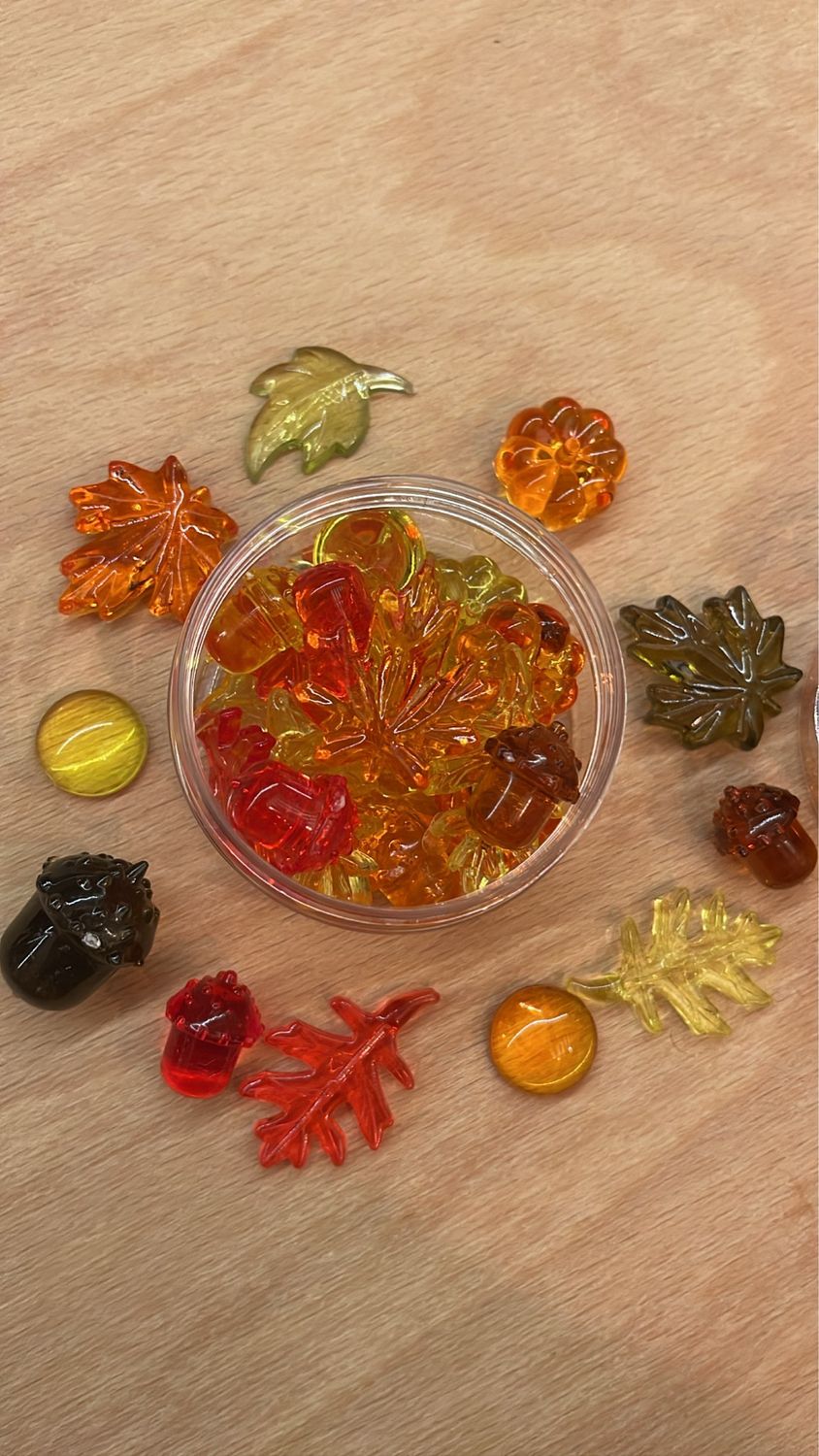 φθινοπωρινα ημιδιαφανα στοιχεια για φωτοτραπεζα:φυλλα,κουκουναρια και κολοκυθα