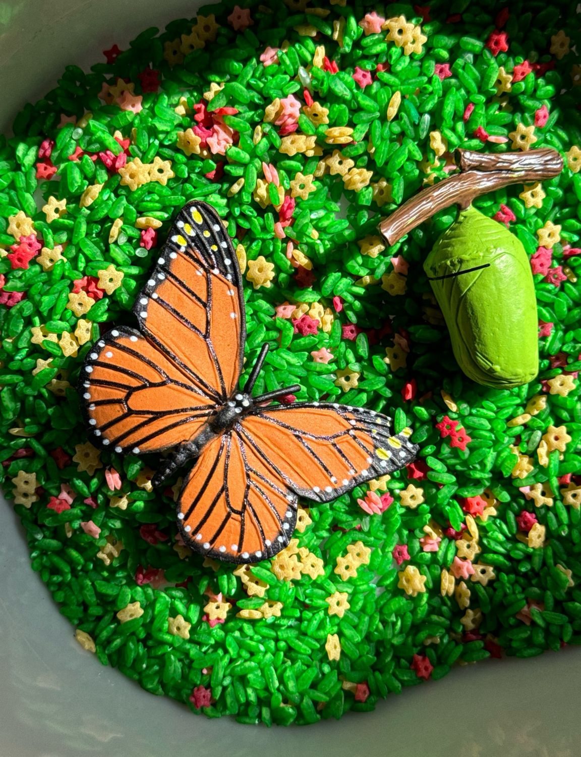 Κύκλος Ζωής Πεταλούδας Safari Ltd