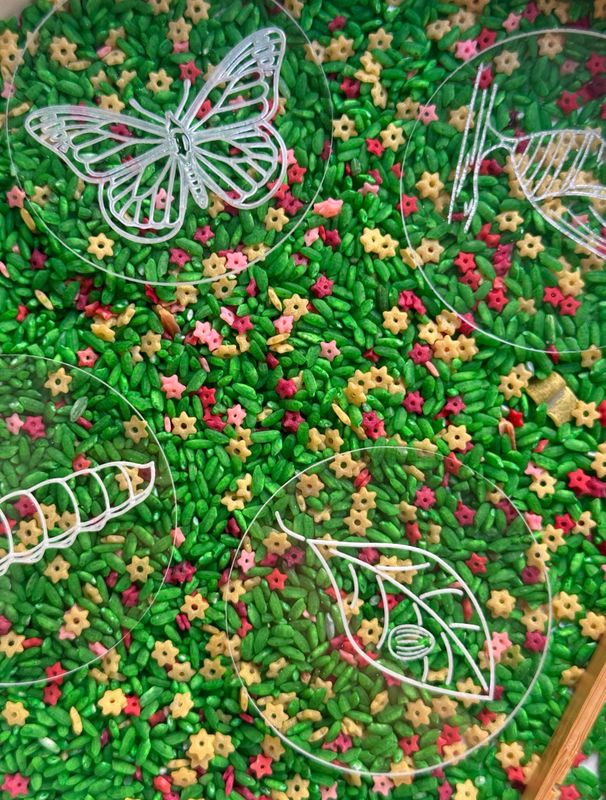 Pour And play Πεταλούδα