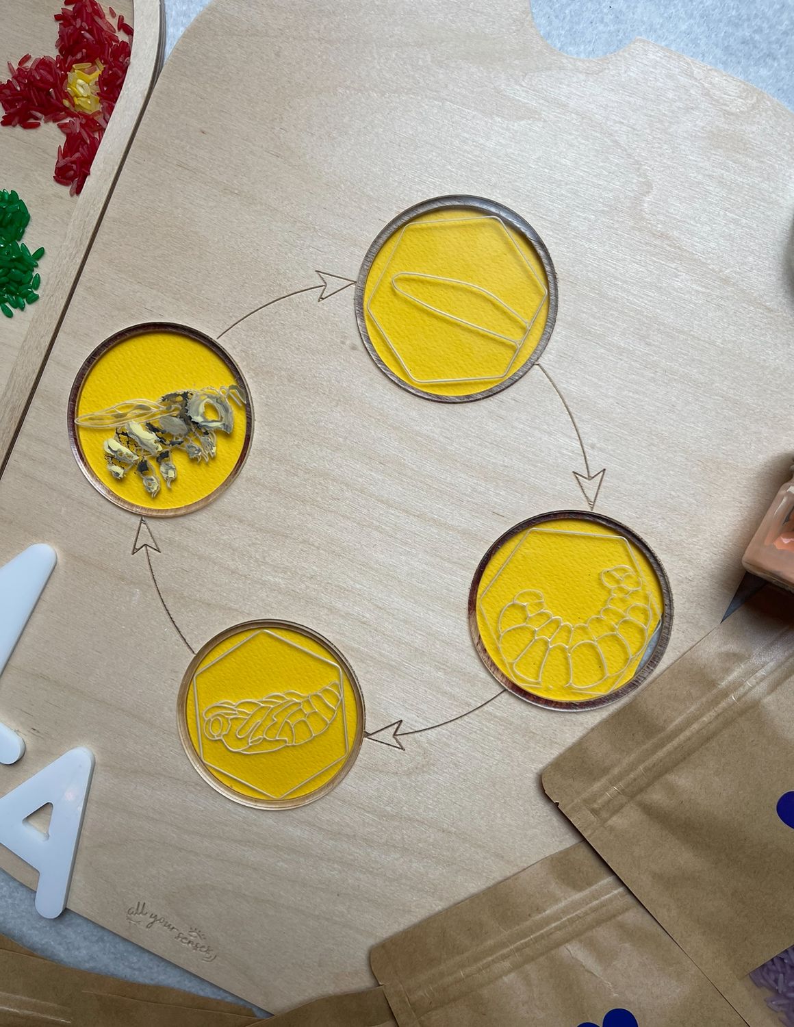 Πλακίδια Κύκλος Ζωής Μέλισσας