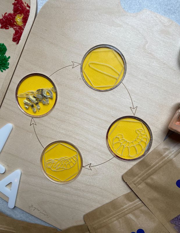 Πλακίδια Κύκλος Ζωής Μέλισσας