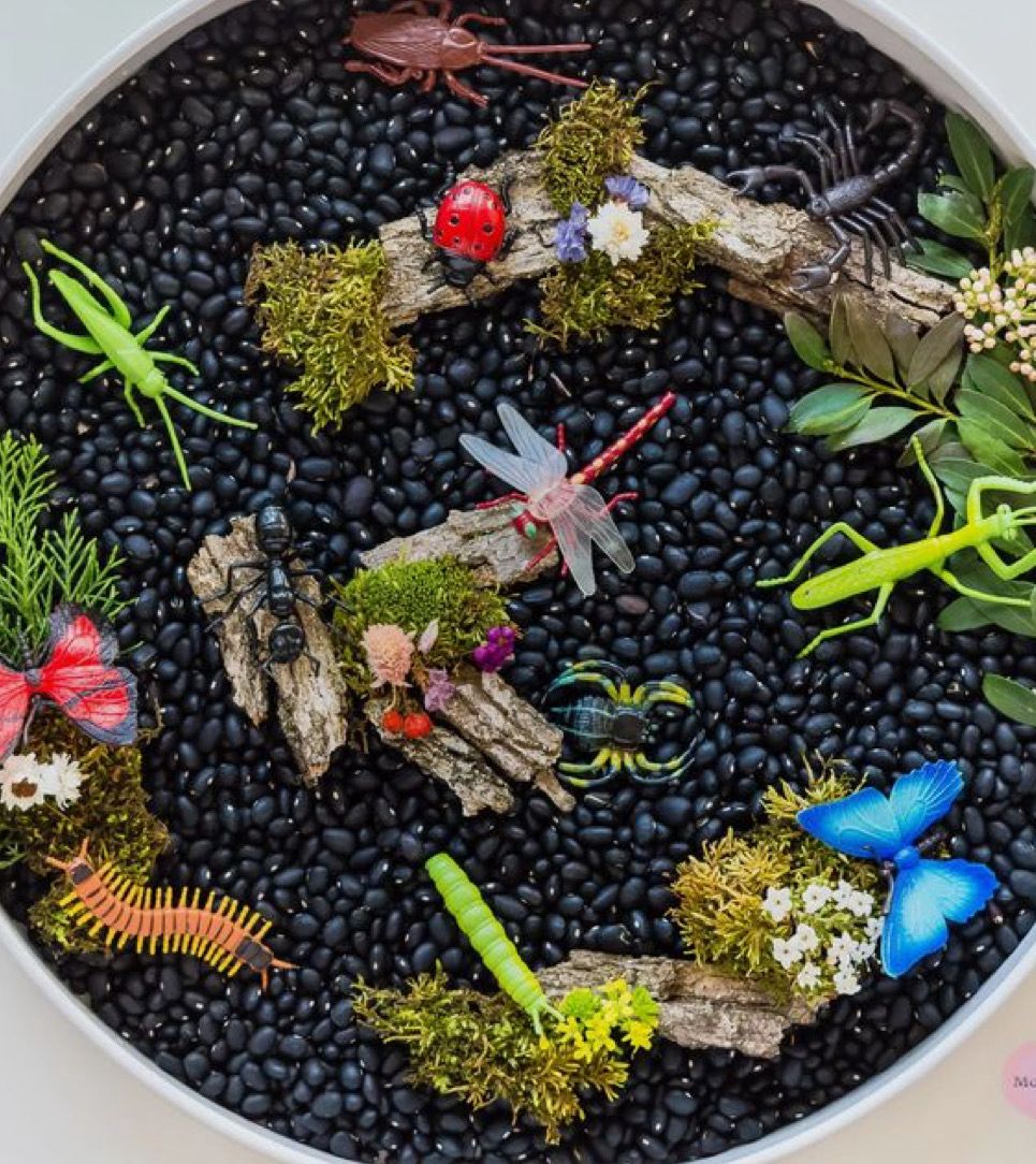 Μινιατούρες Έντομα Safari Ltd