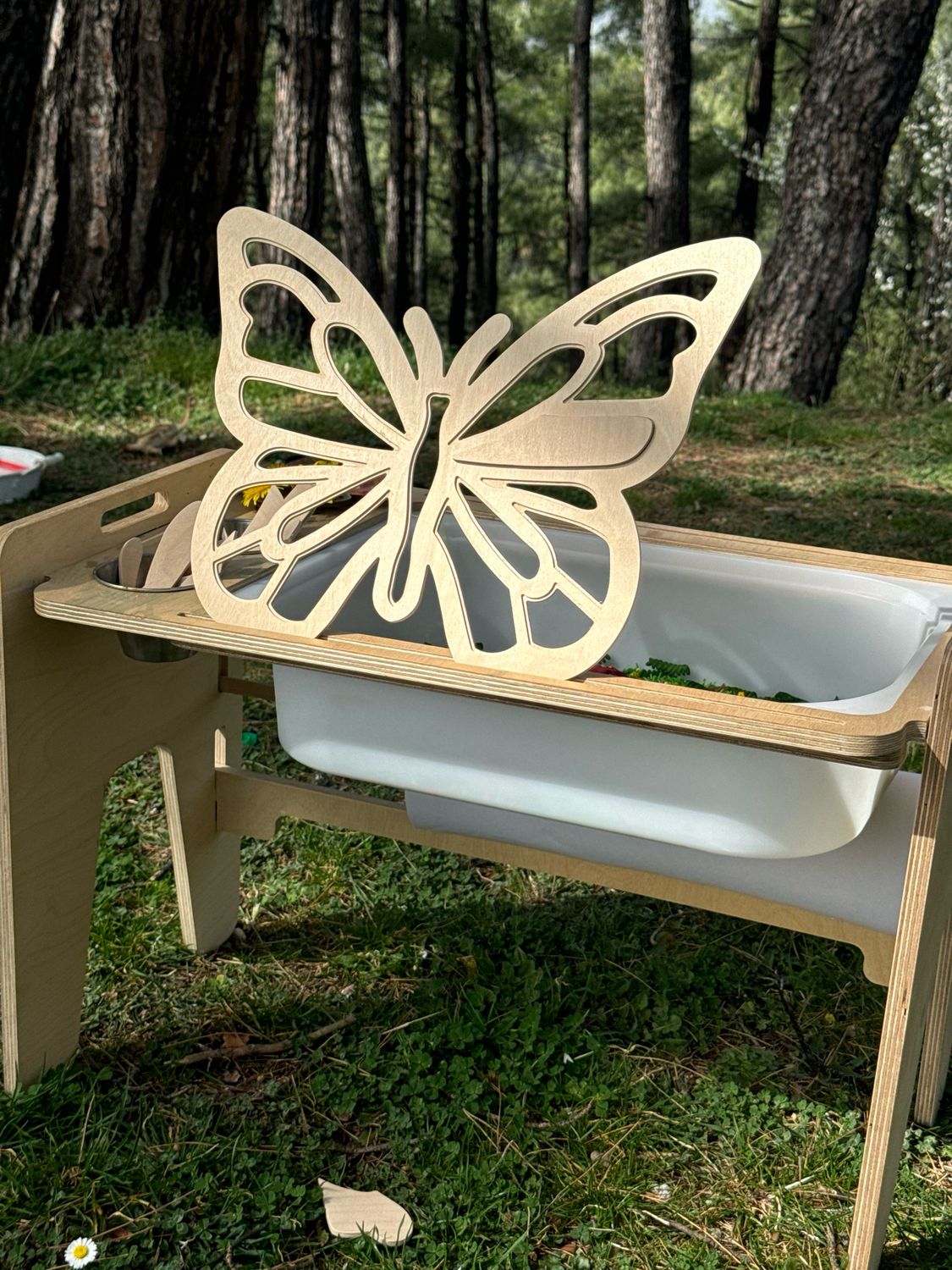 Πεταλούδα Παζλ