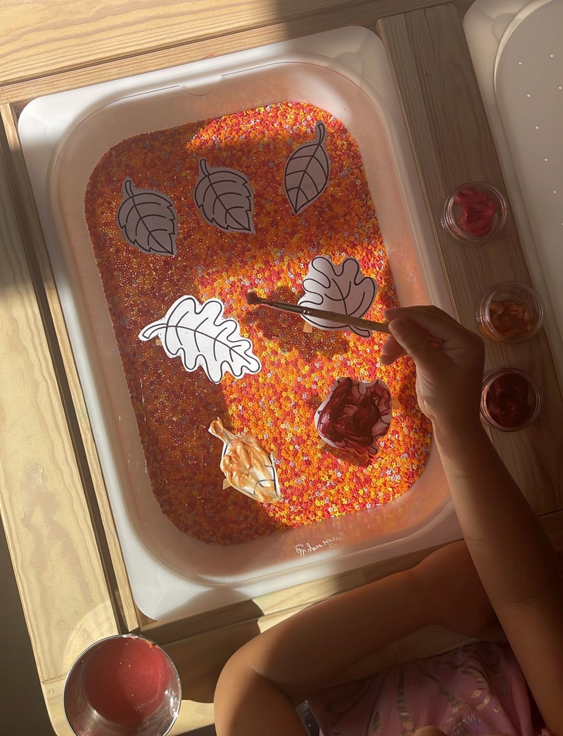 Διάφανος Πίνακας Δημιουργίας