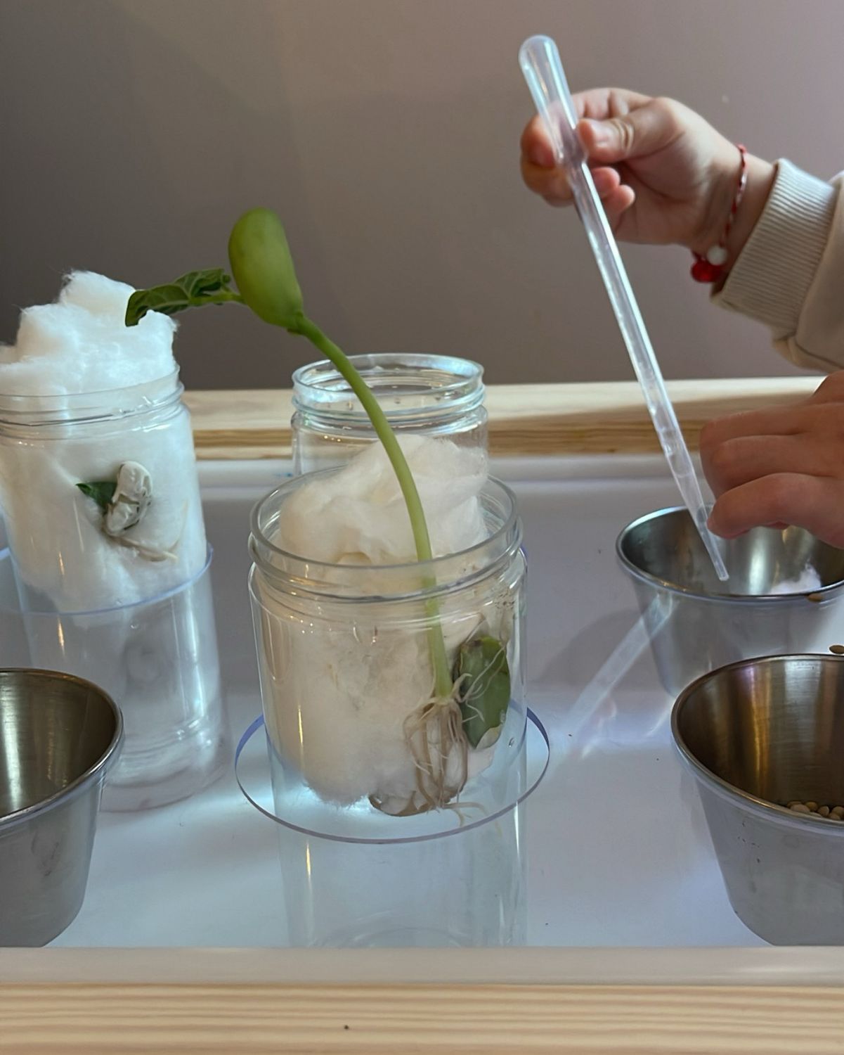 Εργαστήριο Δημιουργίας στον Κάδο Trofast