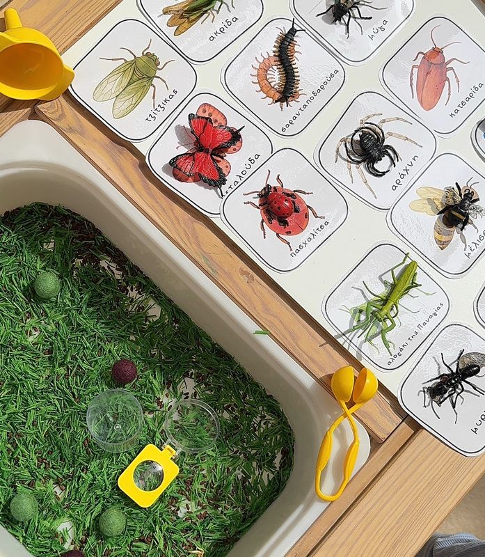 Έντομα Κιτ Εξερεύνησης