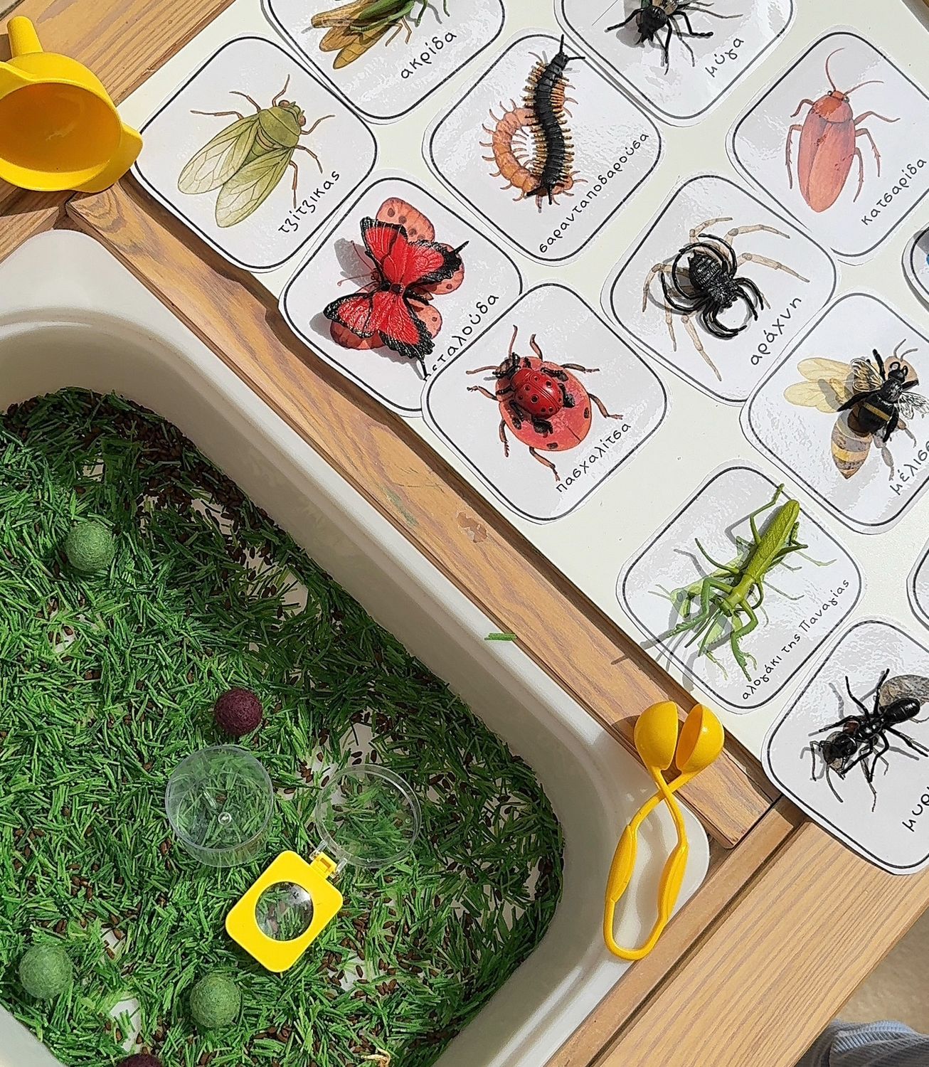 Έντομα Κιτ Εξερεύνησης