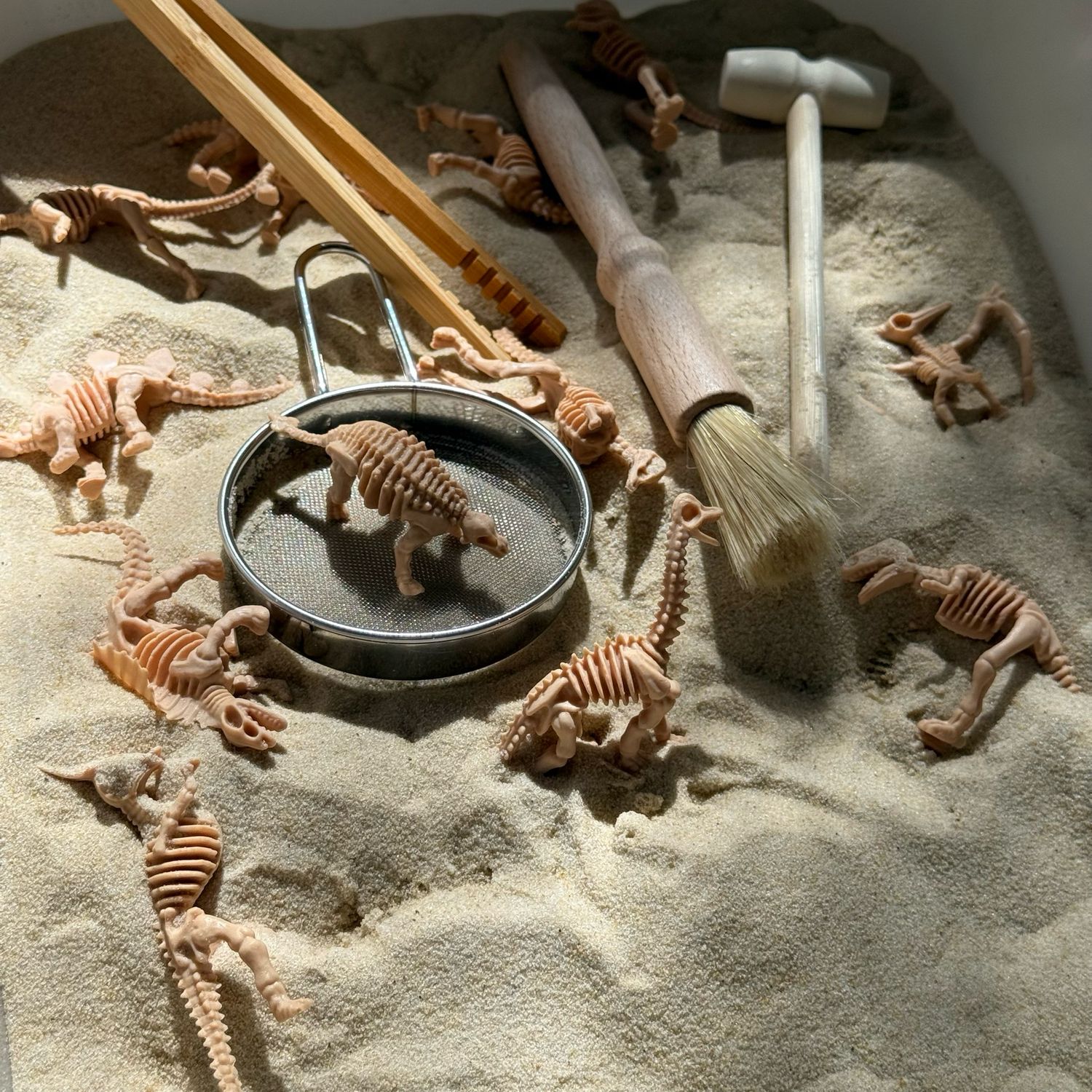 Αισθητηριακό Παιχνίδι Ανασκαφής – Δεινόσαυροι