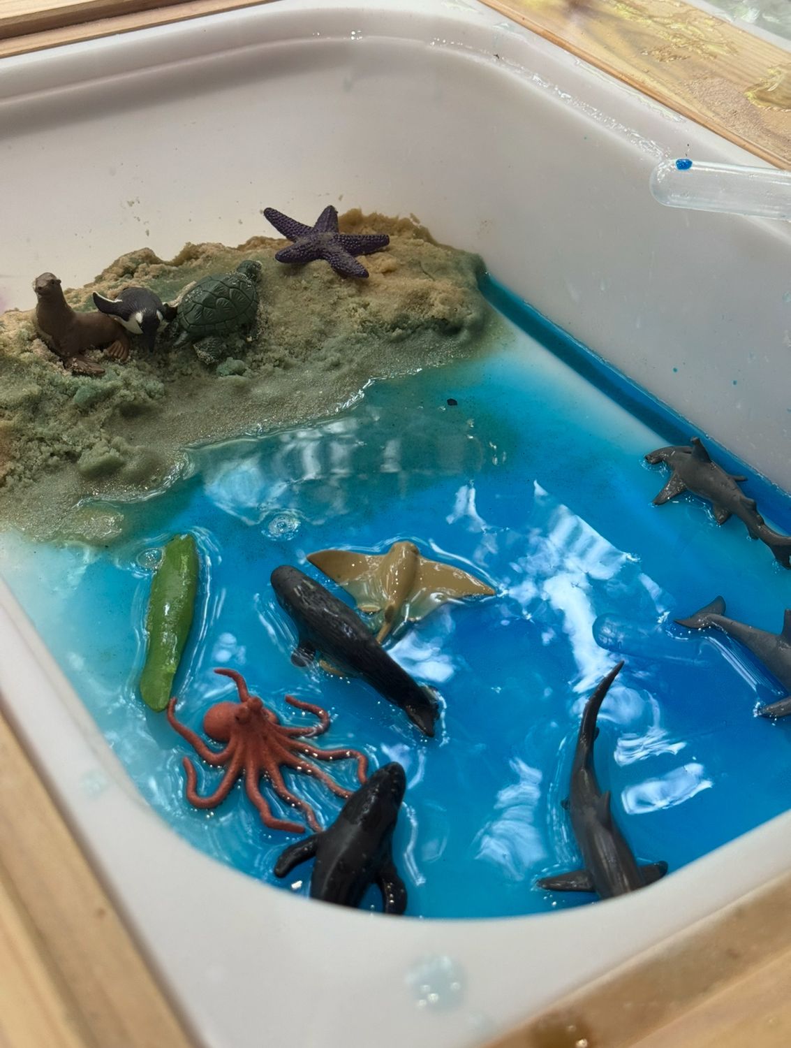 Καλοκαιρινό Messy Play Kit