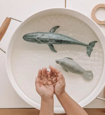 Ημιδιάφανες Πέρλες