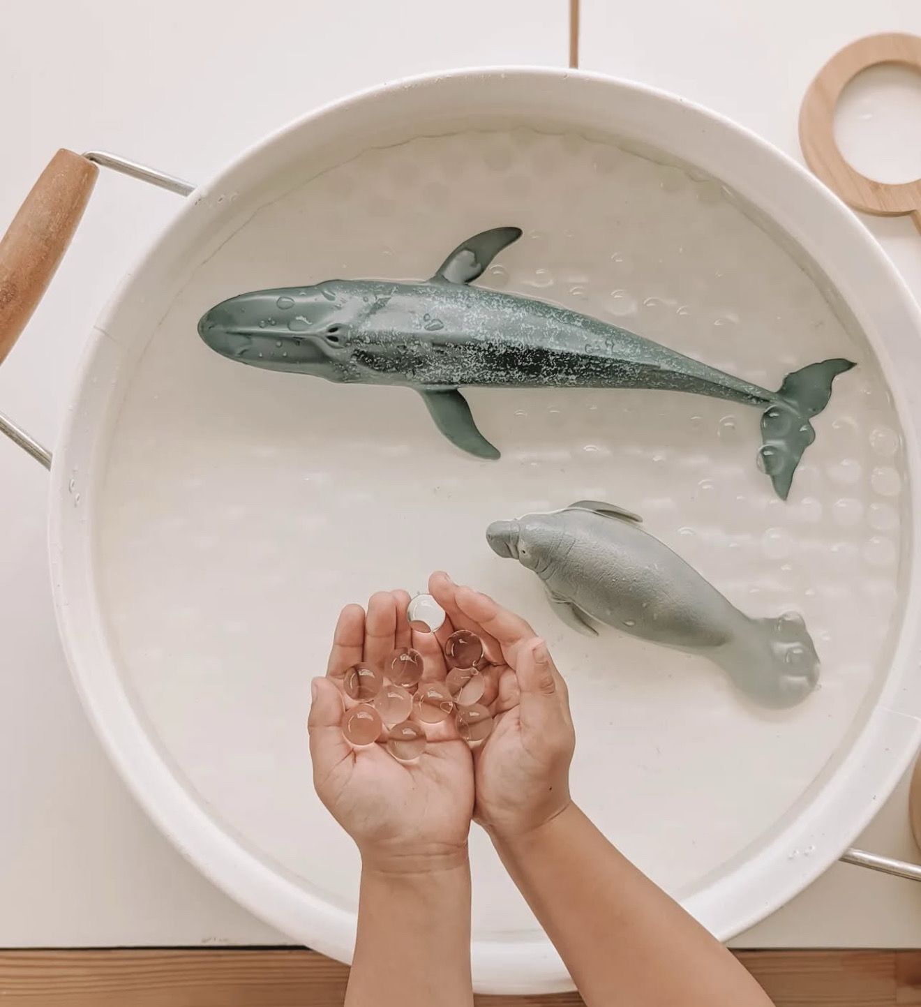 Ημιδιάφανες Πέρλες