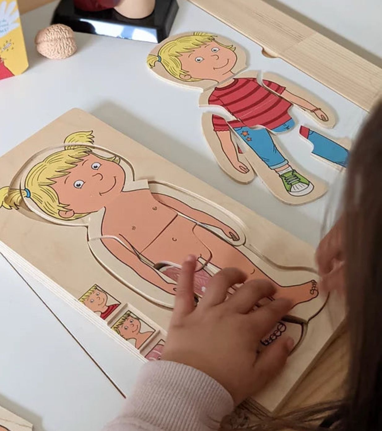 ένα παιδί σχηματίζει το τελευταίο επίπεδο του παζλ ανατομίας ενός κοριτσιού