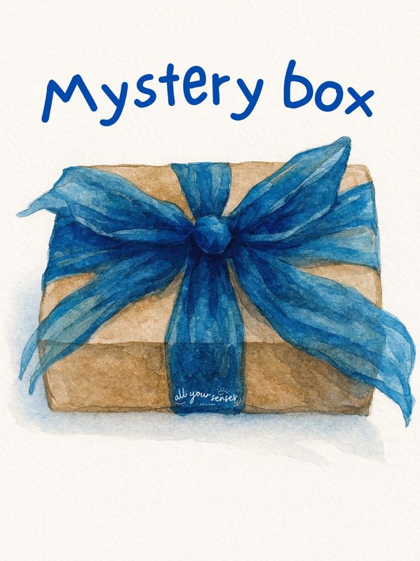 The Sensory Mystery Box