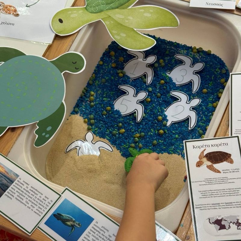 Θαλάσσιες Χελώνες-Μαθαίνω Παίζοντας