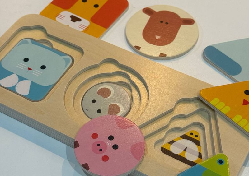 Παζλ Επιπέδων Μοντεσσόρι