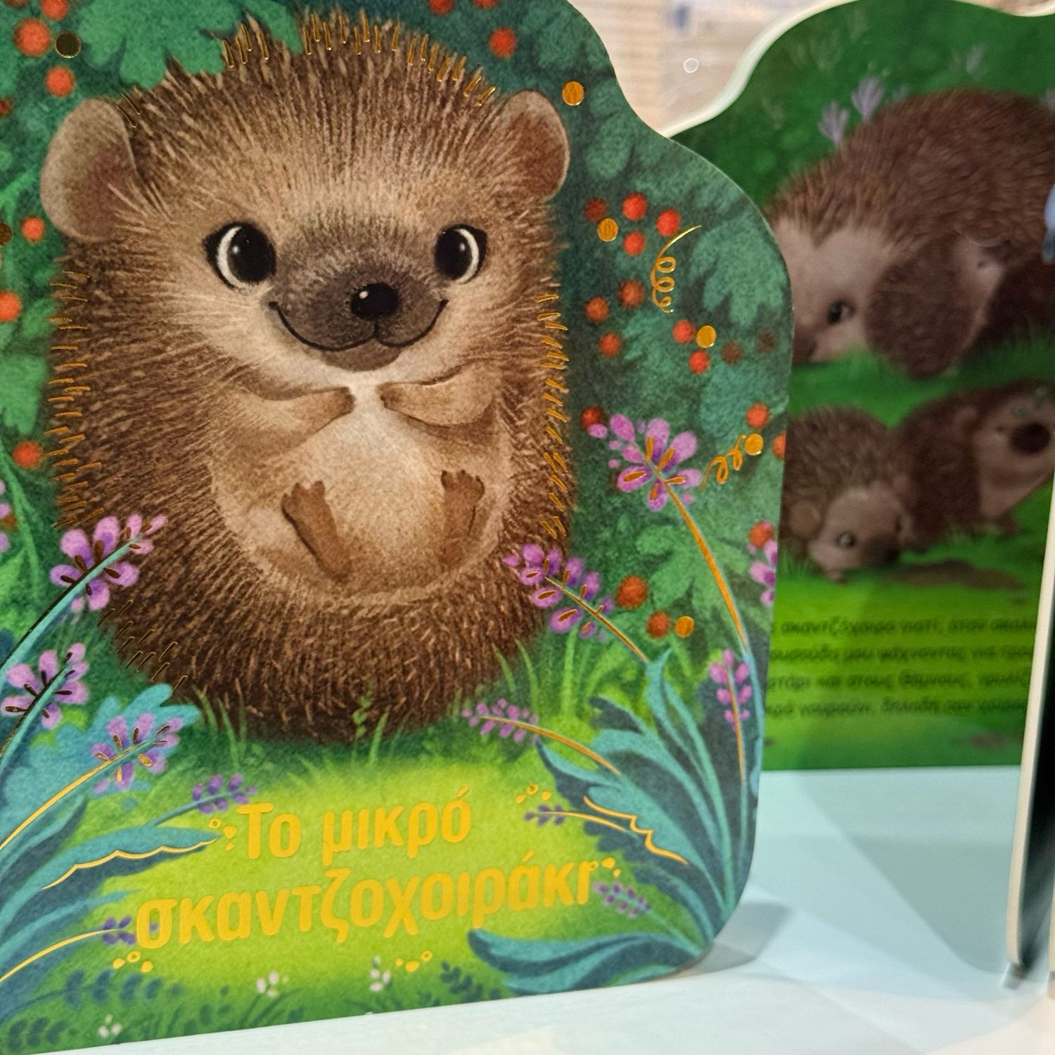 Το μικρό σκαντζοχοιράκι