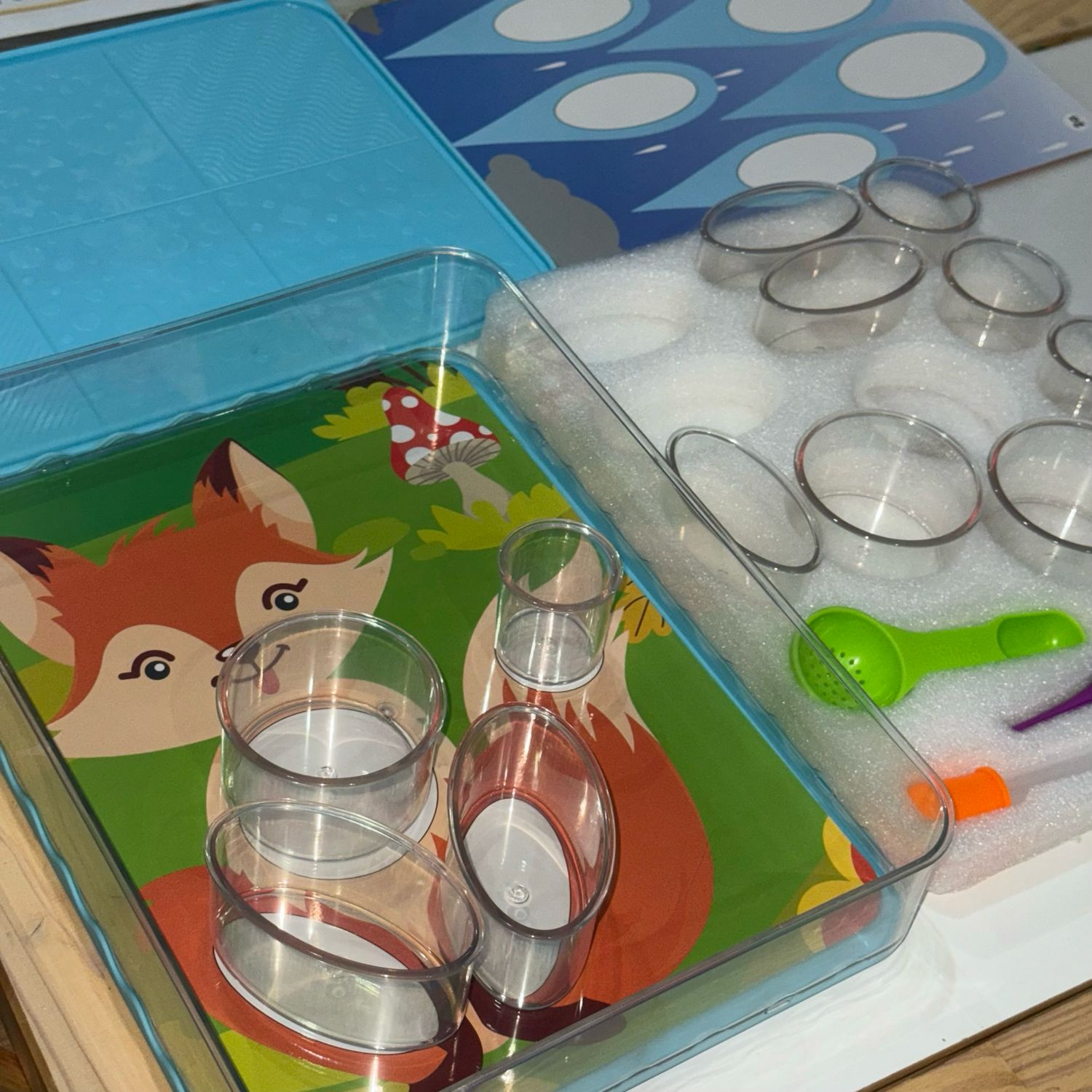 Αισθητηριακός Δίσκος