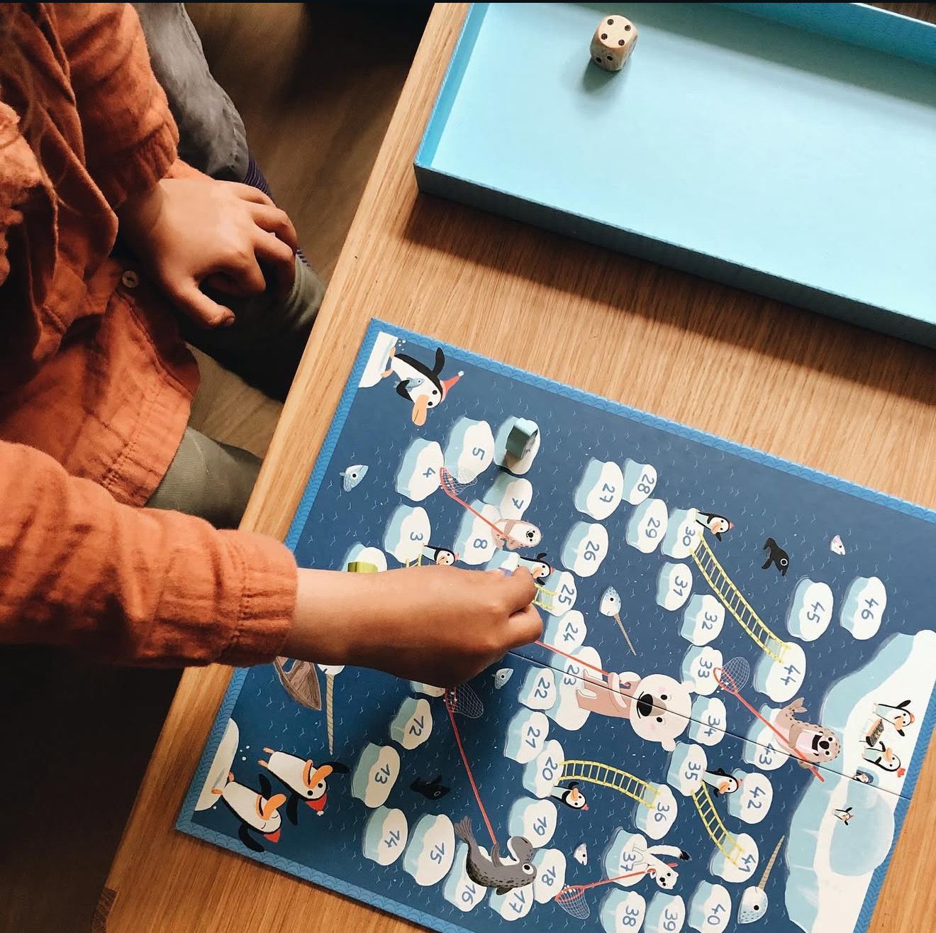 Φιδάκι Βόρειος Πόλος