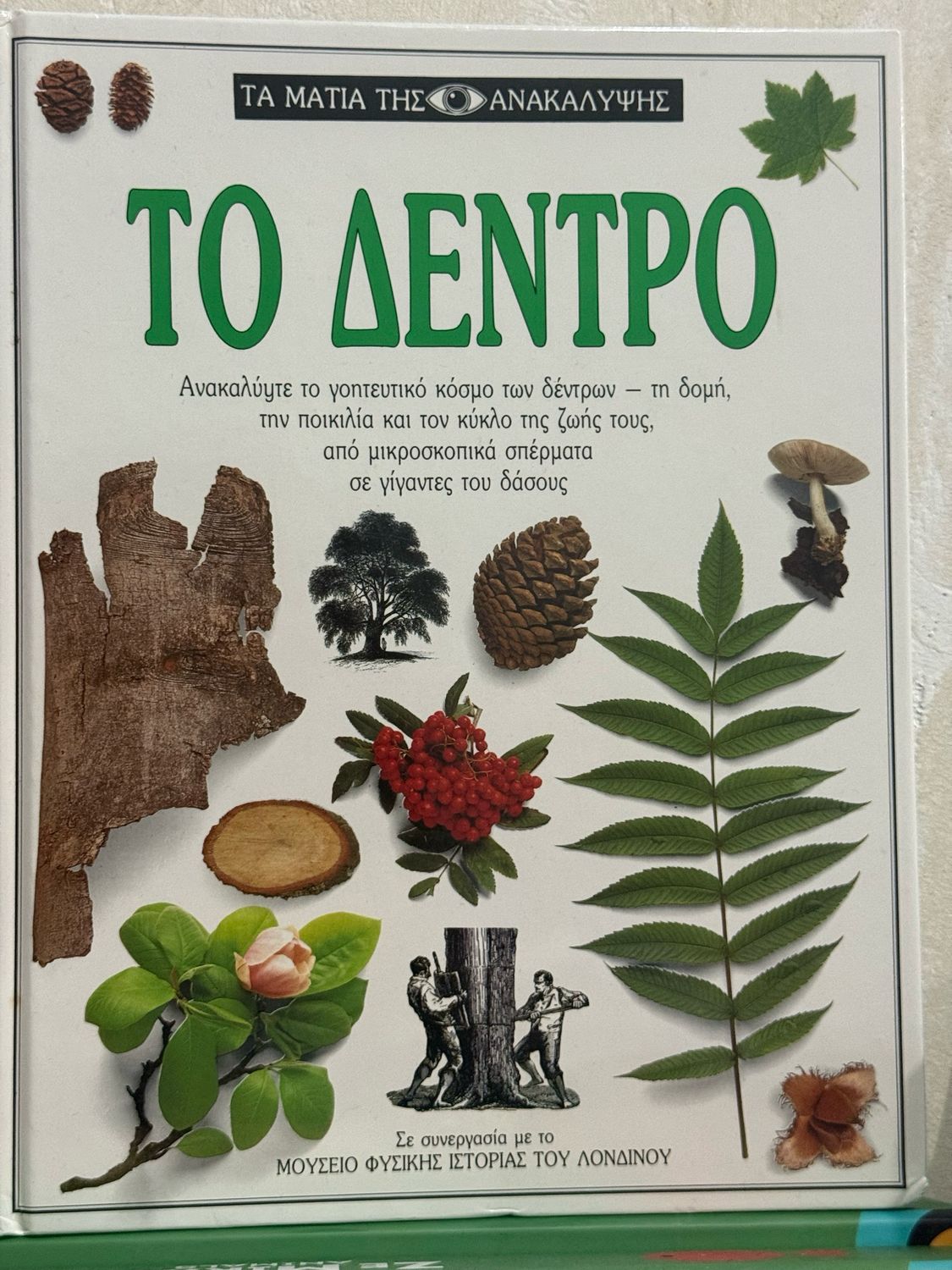 Το Δέντρο-τα Μάτια Της Ανακάλυψης