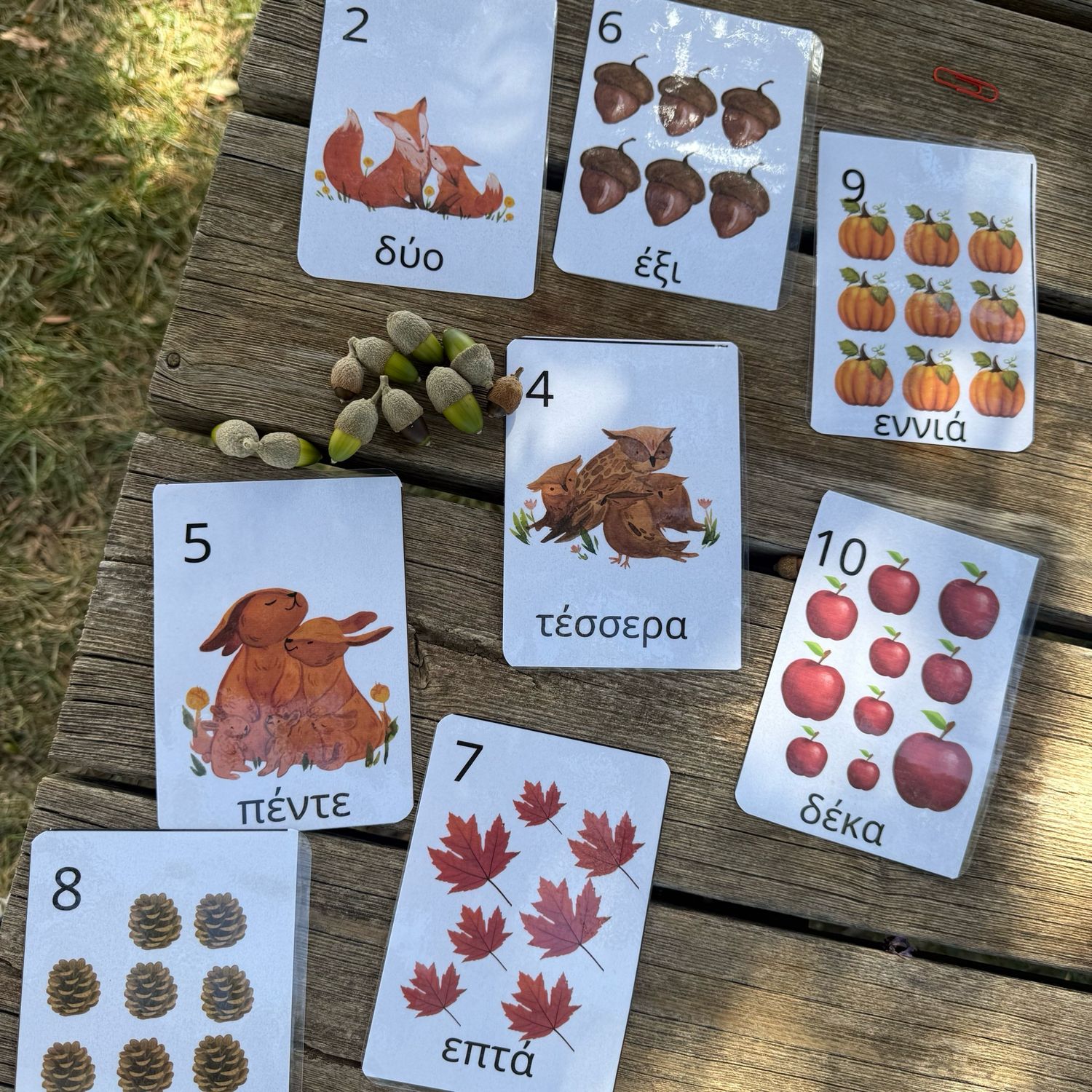 Μαθαίνω Να Μετρώ-φθινοπωρινό Αρχείο