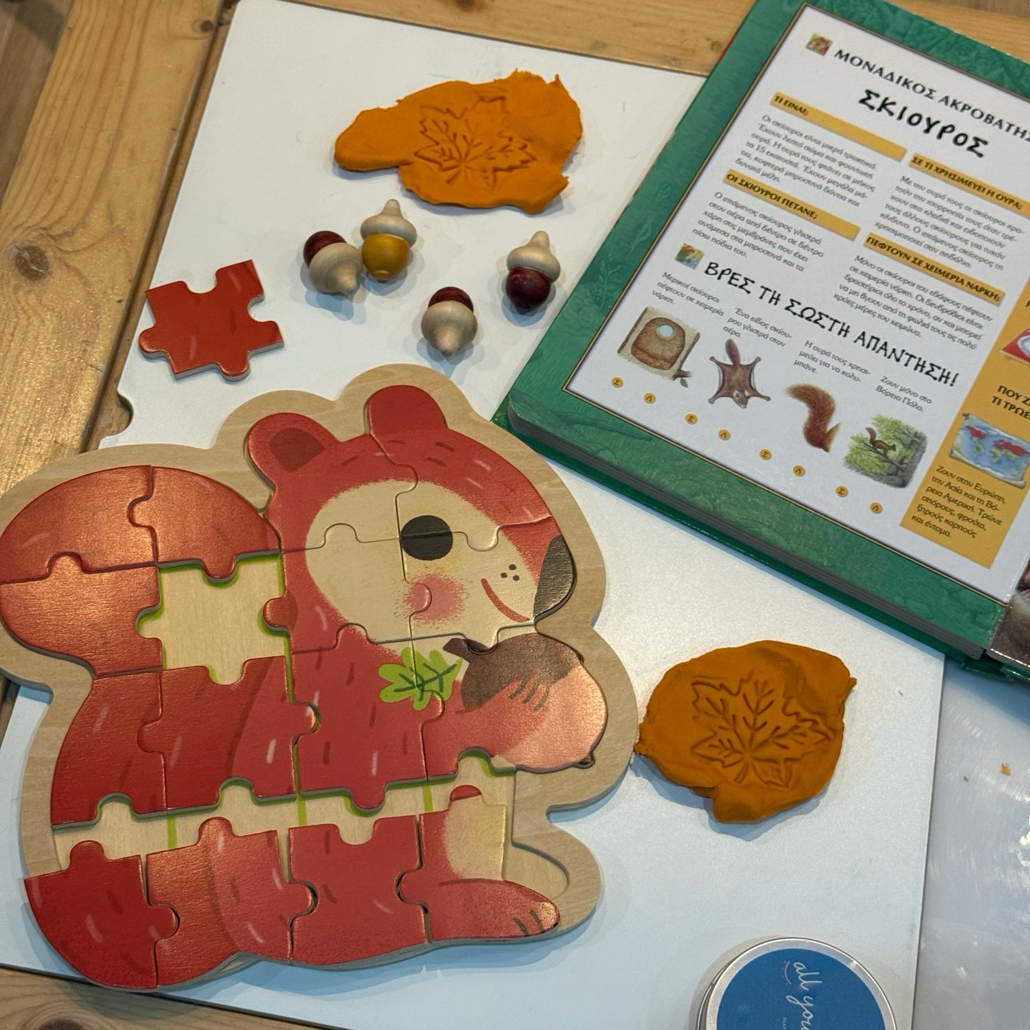 Παζλ Σκίουρος