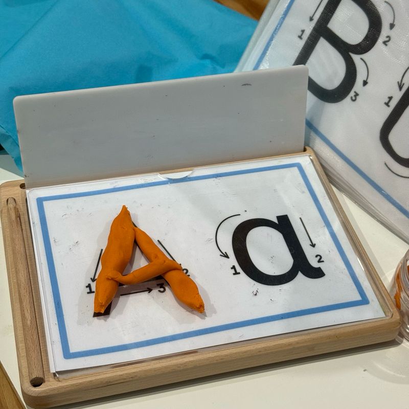 Δίσκος Προγραφής Με Άμμο-Οξιά