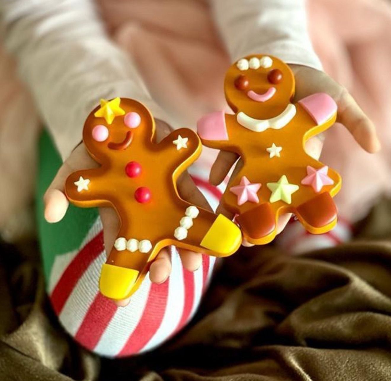 Μπισκοτάκια Κανέλας- DIY Play Kit