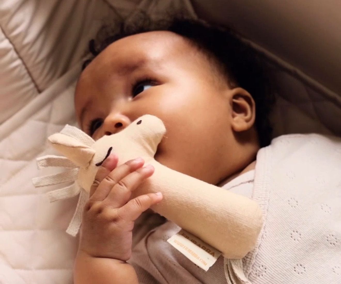 Κουδουνίστρα Αλογάκι