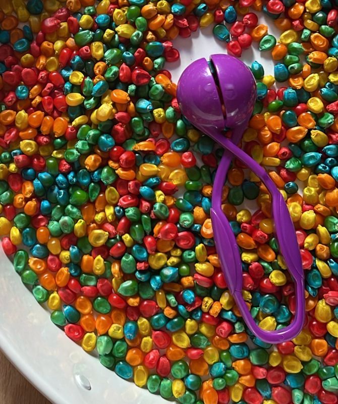 Σέσουλα Scooper